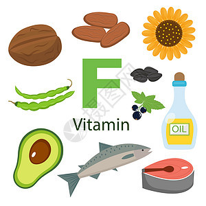 维生素 F 和富含维生素 F 的食物的载体集 健康的生活方式和饮食概念图片