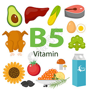 信息图表集维生素 B5 和有用的产品 健康的生活方式和饮食矢量概念图片