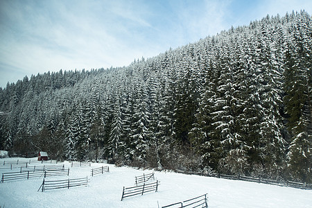 冬季风景 森林 雪雪和栅栏 山上冬季风景 满树的雪图片