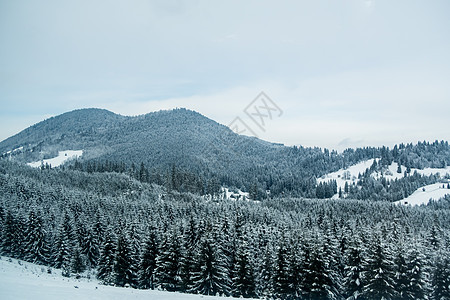 罗马尼亚冬季的山地和森林风景 大雪 罗马尼亚图片