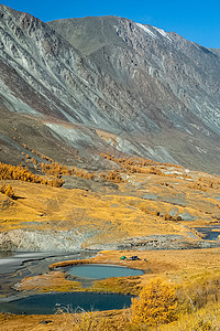 阿尔泰山和两山之间的峡谷的自然景观 以及那座山的景象山沟旅行树木叶子沉降花朵溪流石头风景环境图片