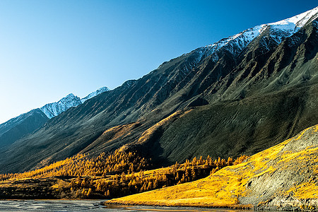 阿尔泰山和两山之间的峡谷的自然景观 以及那座山的景象溪流植物环境自由山沟地质学季节城市娱乐晴天图片