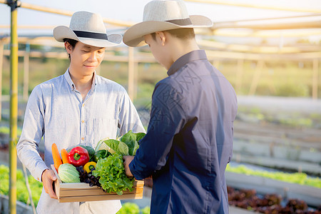 两个年轻的年青男子 拿着新鲜的有机蔬菜和面包采摘农民环境男性饮食经理季节场地农场花园图片