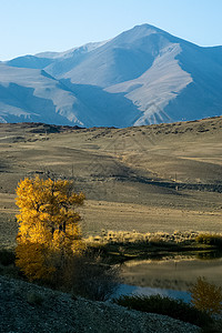 阿尔泰山和两山之间的峡谷的自然景观 以及那座山的景象天空旅行风景环境薄雾石头丘陵小河横幅场景图片