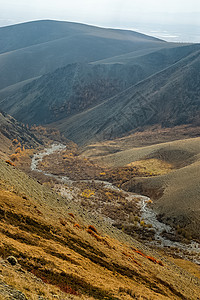 阿尔泰山和两山之间的峡谷的自然景观 以及那座山的景象岩石全景旅行树木石头溪流山腰场地城市急流图片