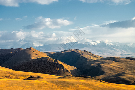 阿尔泰山和两山之间的峡谷的自然景观 以及那座山的景象树木天空石头山沟岩石地形针叶林旅行远足叶子图片