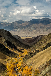 阿尔泰山和两山之间的峡谷的自然景观 以及那座山的景象山沟环境石头旅行高地娱乐生态针叶林溪流中心图片