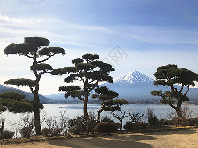 日本富士山和川口子湖的美丽景色风光天空旅行世界遗产环境顶峰海洋蓝色农村假期图片