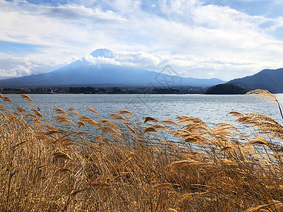 日本富士山和川口子湖的美丽景色顶峰假期天气旅游海岸环境晴天风光蓝色旅行图片