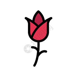 valentine 情人药插图婚礼花束艺术花瓣叶子植物植物群图片