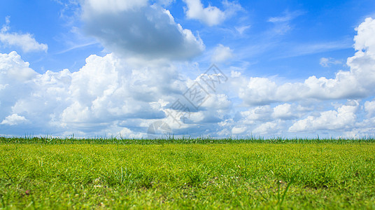绿地和蓝天空农场土地天气晴天太阳阳光地平线远景草原天空图片