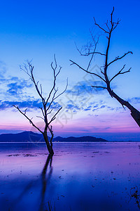 太阳 最后的光芒全景蓝色地平线金子旅行天际橙子云景波纹天空图片