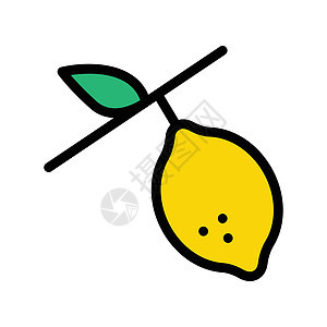 石灰标识橙子果汁叶子收藏水果插图食物黄色图片