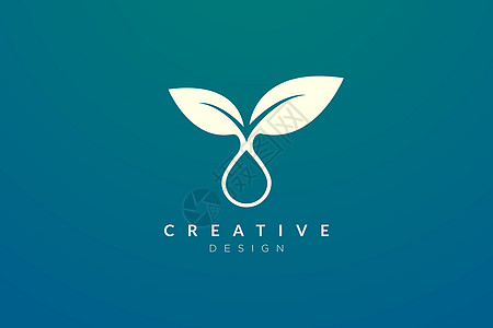 叶子和水滴的设计相结合 现代简约和优雅的矢量插图 适用于图案 标签 品牌 图标或徽标图片