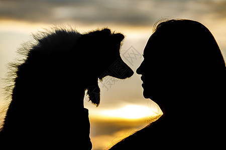 日落的云上 有女人和狗的背影女士女性牧羊犬孩子工作室微笑小狗乐趣友谊朋友们图片