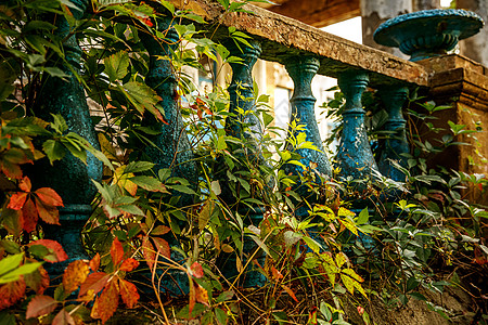宫殿门廊上的蓝石栏杆 秋天的Balustrades阳台古董建筑学蓝色树叶柱子石头风格奢华历史图片