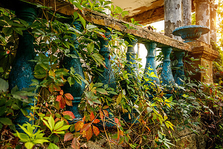 宫殿门廊上的蓝石栏杆 秋天的Balustrades石头古董柱子汽车风格历史奢华树叶柱廊阳台背景图片