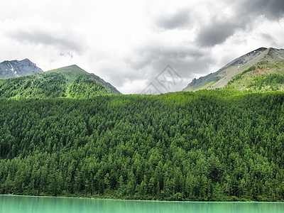 山区地貌 森林和阿尔泰的蓄水层情绪山峰支撑旅游山脉水库风景天空公园岩石图片