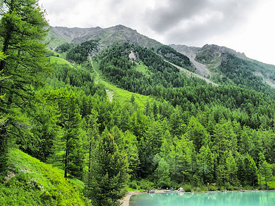 山区地貌 森林和阿尔泰的蓄水层山峰进口蓝色反射旅游金色天气海岸支撑荒野图片