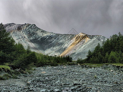 山区地貌 森林和阿尔泰的蓄水层反射湖区旅行丘陵荒野国家山脉金色天空水库图片