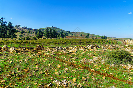 上加利利地貌 山丘和葡萄园石头旅行人行道国家乡村风景爬坡绿色旅游天空图片