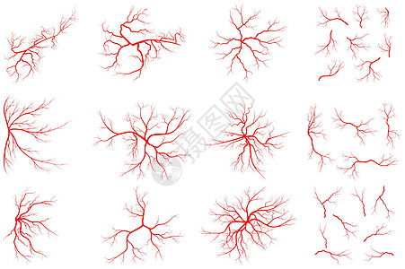 白色背景上孤立的 Vein 插图 收藏o图片