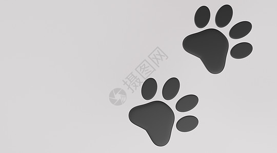 白色背景上的黑爪印图 狗或猫爪印图 Anima图片