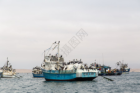 在秘鲁帕拉卡斯的渔船旅游海洋海岸运输渔夫半岛海岸线旅行港口血管图片