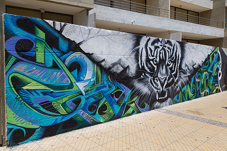 智利圣地亚哥贝拉维斯塔街头的涂鸦Praffiti建筑写作艺术旅行首都街道建筑学场景壁画绘画图片