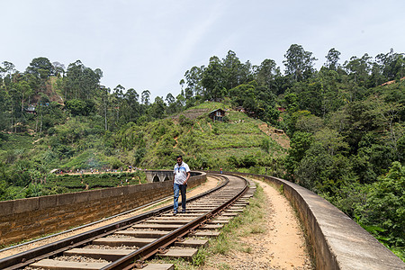斯里兰卡德莫达拉著名的九座大桥吸引力高地爬坡铁路森林火车地标运输旅游绿色图片