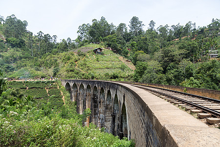 斯里兰卡德莫达拉著名的九座大桥地标爬坡建筑学高地铁路游客绿色旅行火车穿越图片