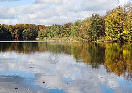 夏季日河流景观环境太阳溪流阳光森林风景木头蓝色叶子季节图片