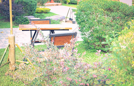 花园公园中的木椅座椅闲暇花园公园植物休息图片