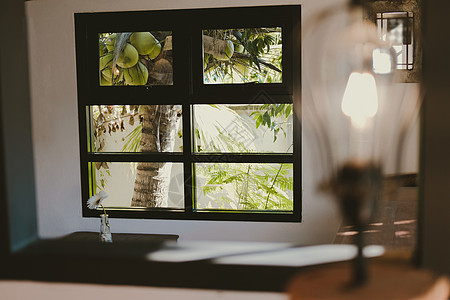 从起居室窗户的花园视图中的椰子树叶子房间植物热带房子图片