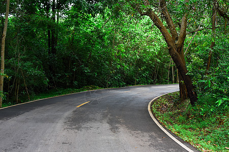 周围有绿树的公路图片