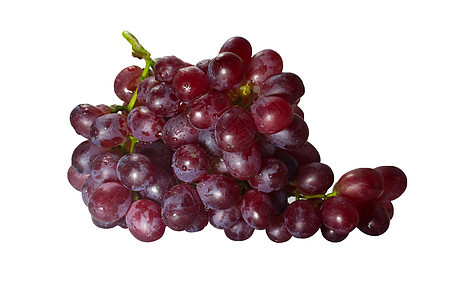 红葡萄 白种背景被一帮人孤立食物水果甜点收成绿色营养浆果果汁白色藤蔓图片