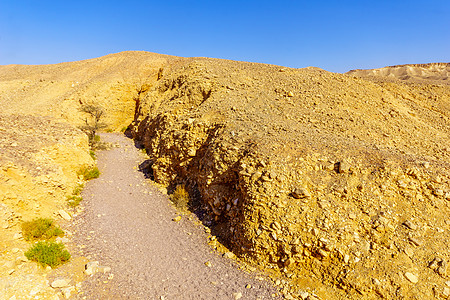 Nahal Shani沙漠谷 伊拉特山旅游石头旅行内盖夫踪迹岩石地质学地标风景峡谷图片