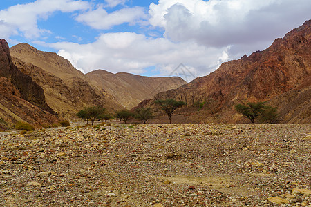 八仙山沙漠谷 艾拉特山公园内盖夫旅行人行道石头侵蚀地标岩石小路沙漠背景