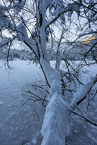 a 积雪后车厢图片