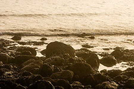 海滩的晨雾太阳海岸线海景岩石沙丘海洋支撑薄雾英语阳光图片