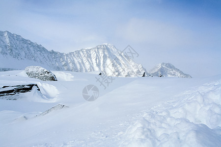 冬季的白卡尔山雪 下雪的森林覆盖了山岳脚印景观荒野旅行雪花反射枞树树木针叶林蓝色图片