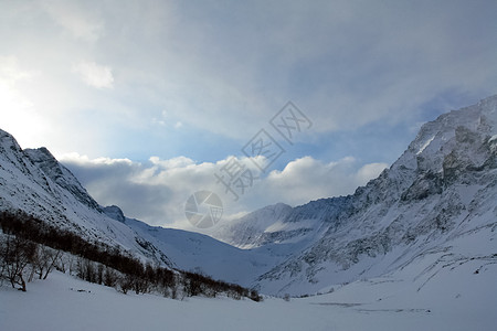 冬季的白卡尔山雪 下雪的森林覆盖了山岳冰雕松树雪花场地雪堆季节旅行场景蓝色雕塑图片