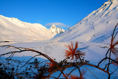 冬季的白卡尔山雪 下雪的森林覆盖了山岳天气蓝色天空山脉雪花场景景观风景旅行松树图片