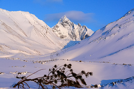 冬季的白卡尔山雪 下雪的森林覆盖了山岳旅行场景冰雕松树场地蓝色季节天空云杉日落图片