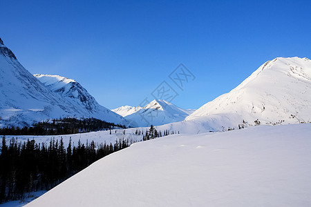 冬季的白卡尔山雪 下雪的森林覆盖了山岳蓝色旅行山峰木头场景松树天空背景城堡天气图片