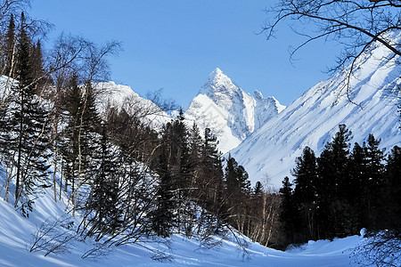 冬季的白卡尔山雪 下雪的森林覆盖了山岳场景仙境全景旅行季节松树孩子风景蓝色降雪图片