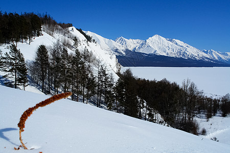 冬季的白卡尔山雪 下雪的森林覆盖了山岳季节山峰场景木头雕塑乐趣裂缝雪堆天气山脉图片