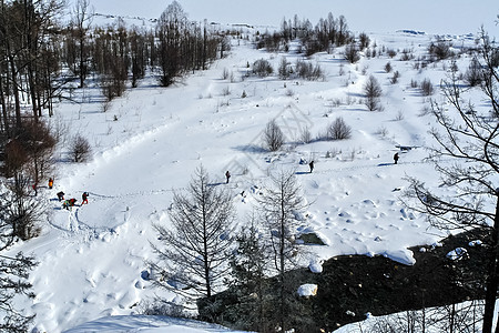 冬季的白卡尔山雪 下雪的森林覆盖了山岳季节场景院子枞树天空松树旅行蓝色山脉树木图片