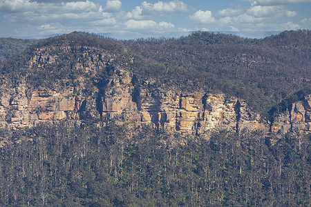 澳大利亚地区一棵森林在悬崖附近被野火烧毁灌木丛岩石气候环境土地天气峡谷胶树丛林衬套图片