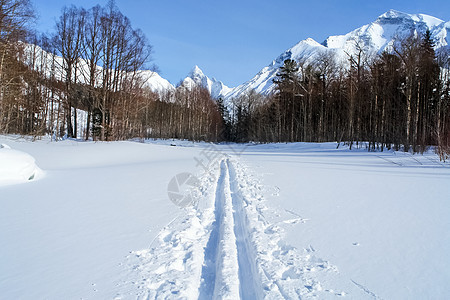 在树林里的滑雪道 在树林里滑雪家庭艺术假期路线针叶树天空车道旅行踪迹风景图片